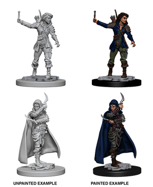 Human Female Rogue