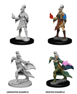 Elf Female Sorcerer