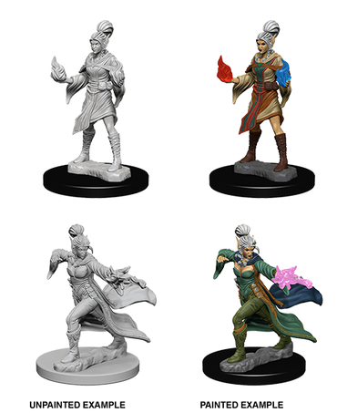 Elf Female Sorcerer