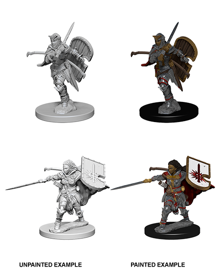 Human Female Paladin
