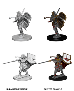 Human Female Paladin