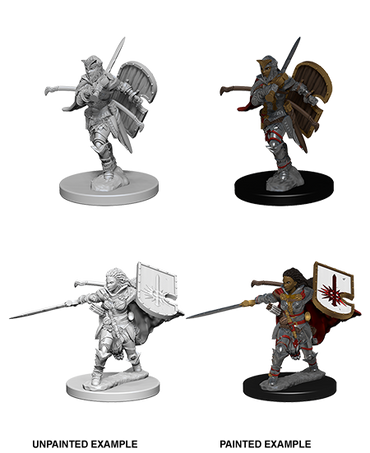Human Female Paladin