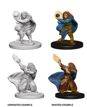Dwarf Wizard