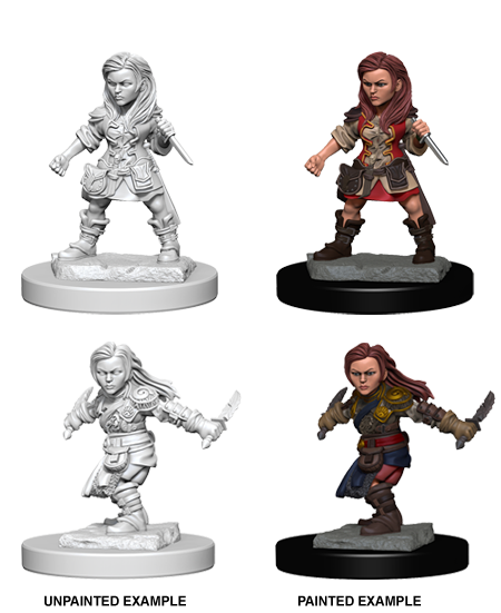 Halfling Rogue