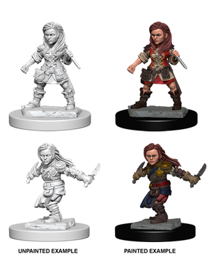 Halfling Rogue