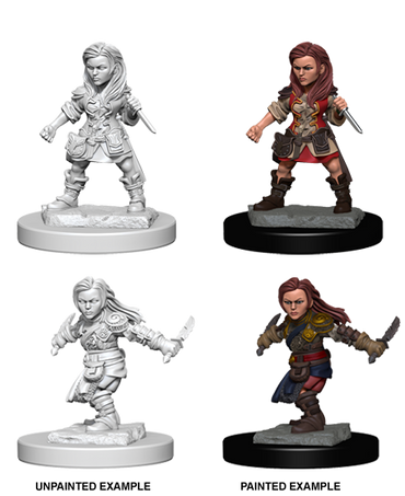 Halfling Rogue