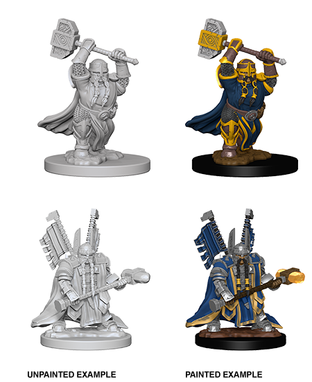 Dwarf Paladin