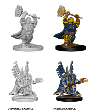 Dwarf Paladin