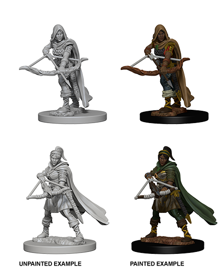 Human Ranger