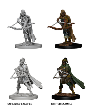 Human Ranger