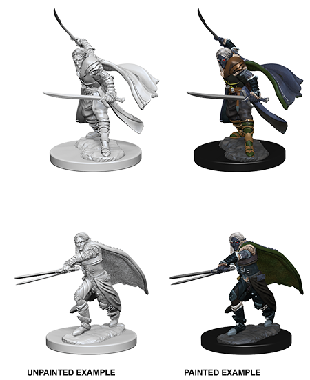 Elf Ranger