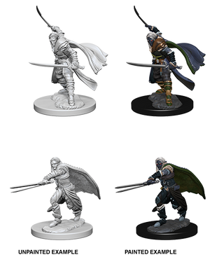 Elf Ranger