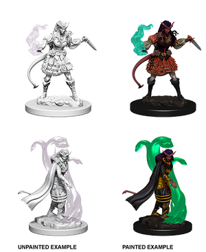 Tiefling Sorcerer