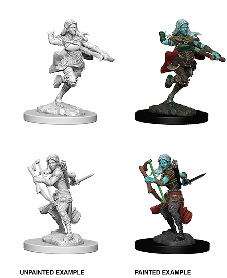 Air Genasi Rogue