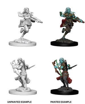 Air Genasi Rogue