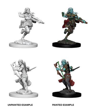 Air Genasi Rogue