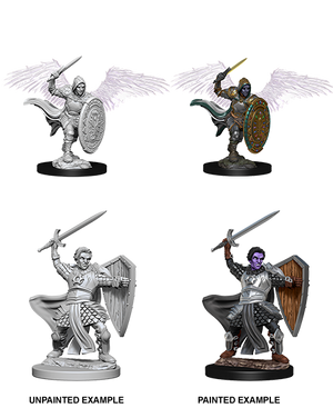 Aasimar Paladin