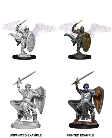 Aasimar Paladin