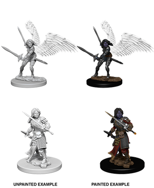 Aasimar Paladin