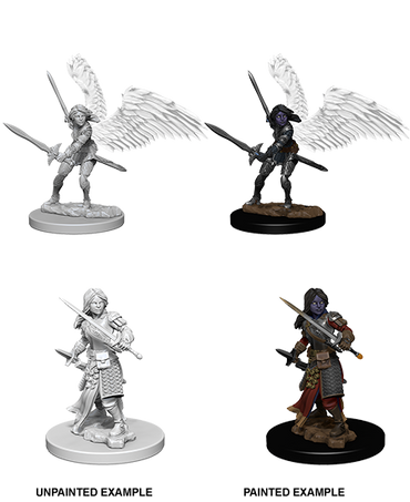 Aasimar Paladin