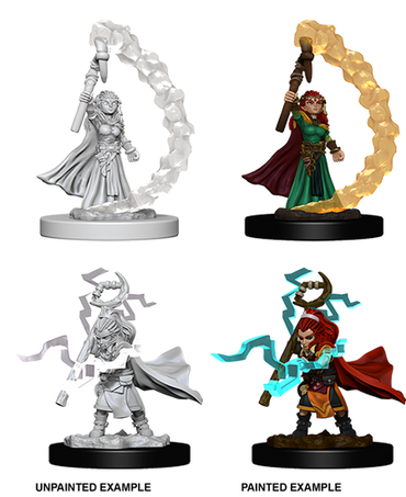 Gnome Sorcerer Female