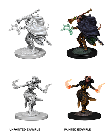 Tiefling Warlock