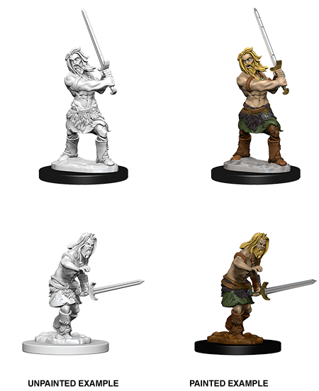 Male Human Barbarian