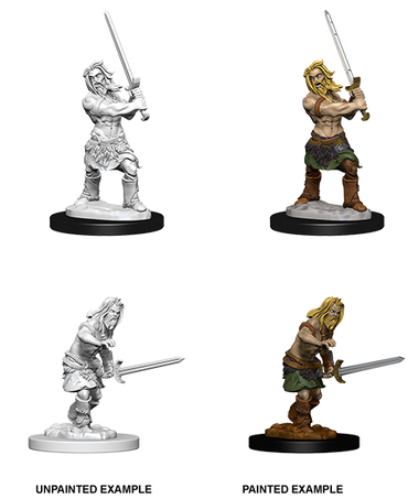 Male Human Barbarian