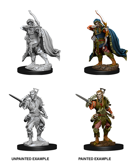 Elf Rogue
