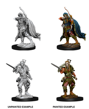 Elf Rogue