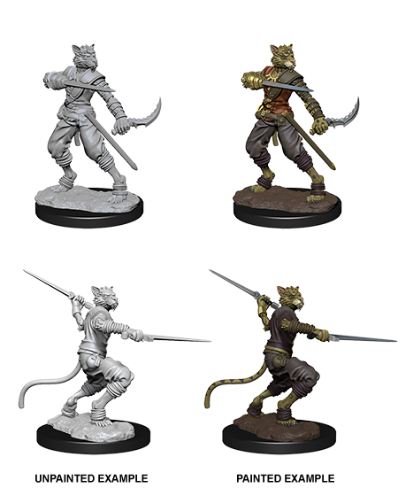 Tabaxi Rogue