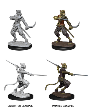 Tabaxi Rogue