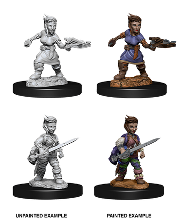 Halfling Rogue