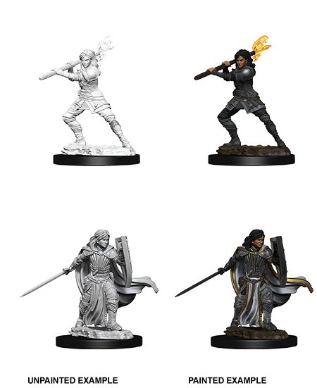 Human Paladin