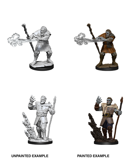 Firbolg Druid