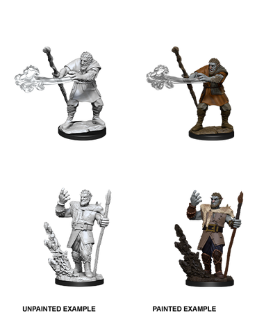 Firbolg Druid