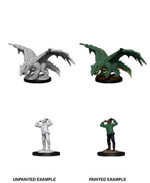 Green Dragon Wyrmling & Afflicted Elf