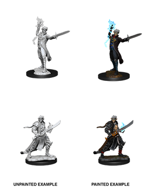 Male Elf Magus (Magic User)