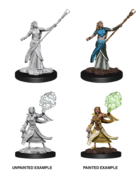 Elf Sorcerer