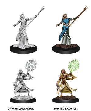 Elf Sorcerer