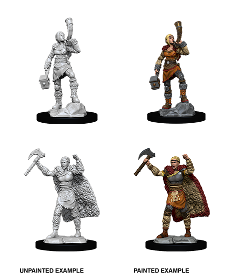 Human Barbarian