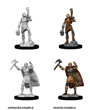 Human Barbarian