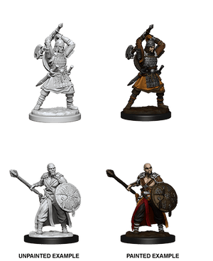 Human Barbarian