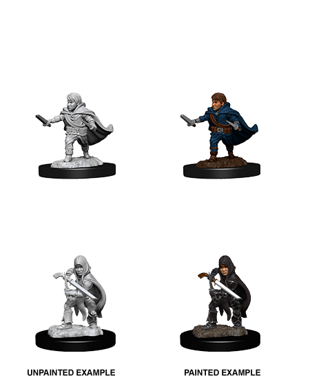 Halfling Rogue