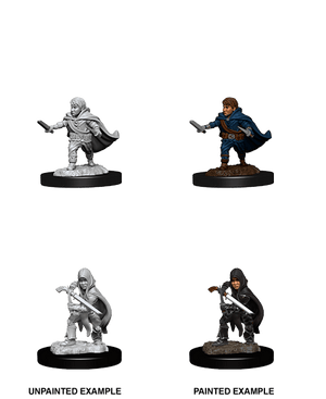 Halfling Rogue