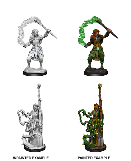 Firbolg Druid