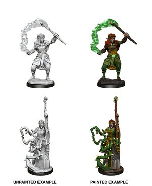 Firbolg Druid