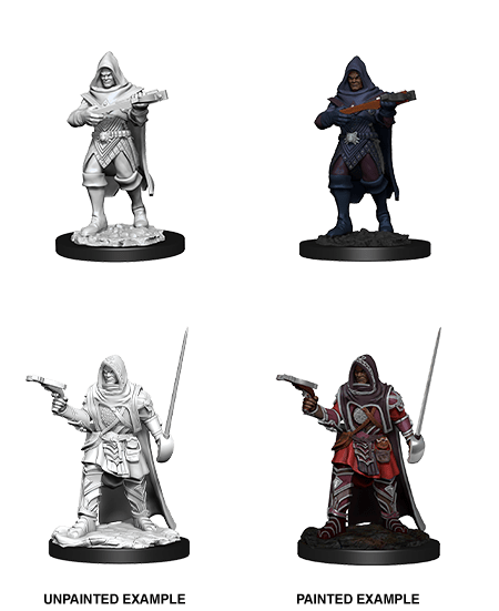 Human Rogue Male