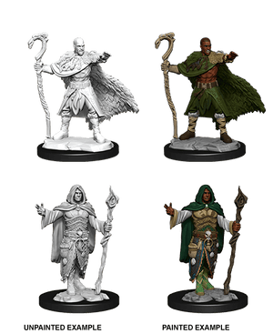Human Druid