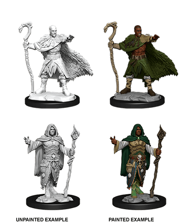 Human Druid